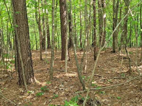 077 CARROLL HOLLOW RD, Waynesboro, TN 38485