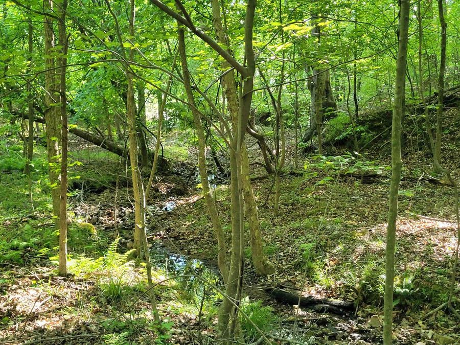 Property Image 11