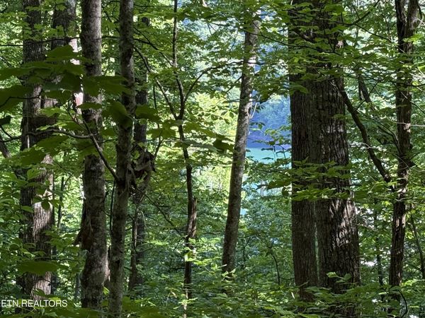 Lot 74, Norris Shores Drive, Sharps Chapel, TN 37866