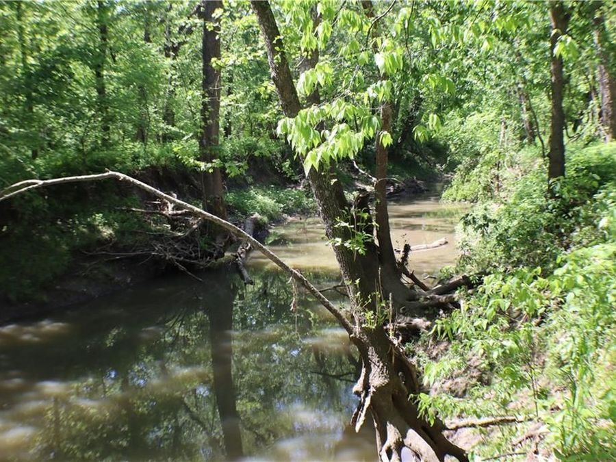 Property Image 7