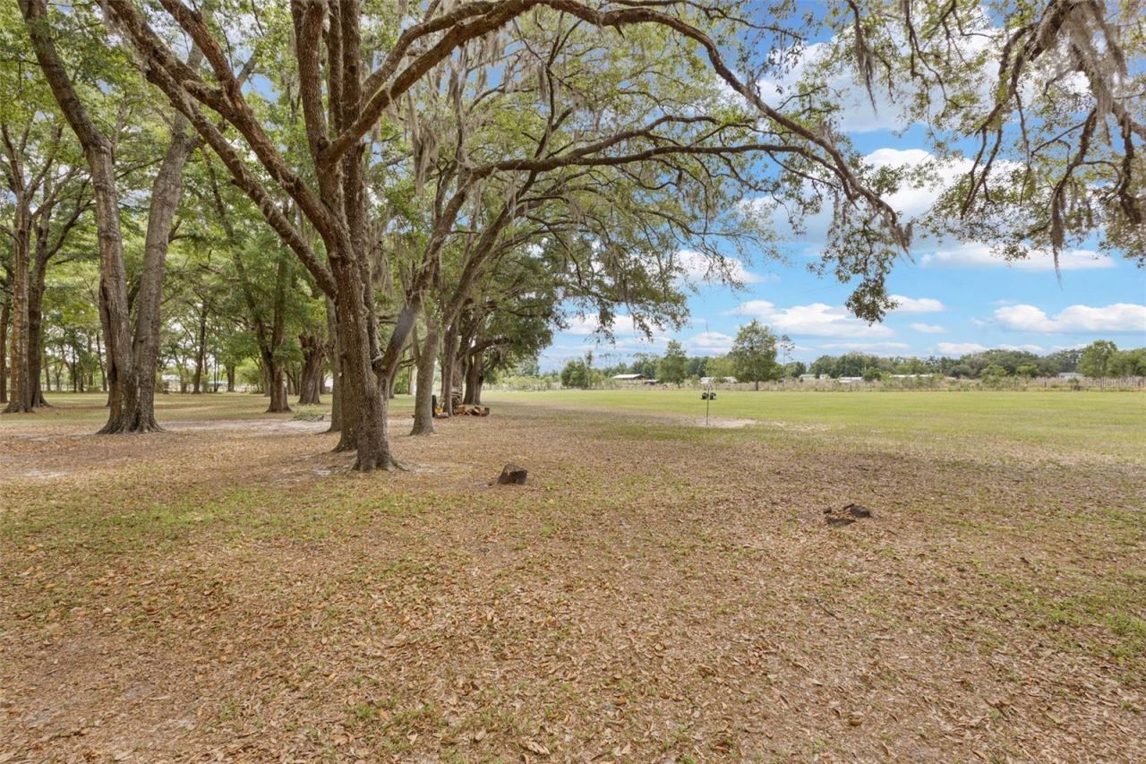 6689 SE 55th Street, Trenton, FL 32693 Photo
