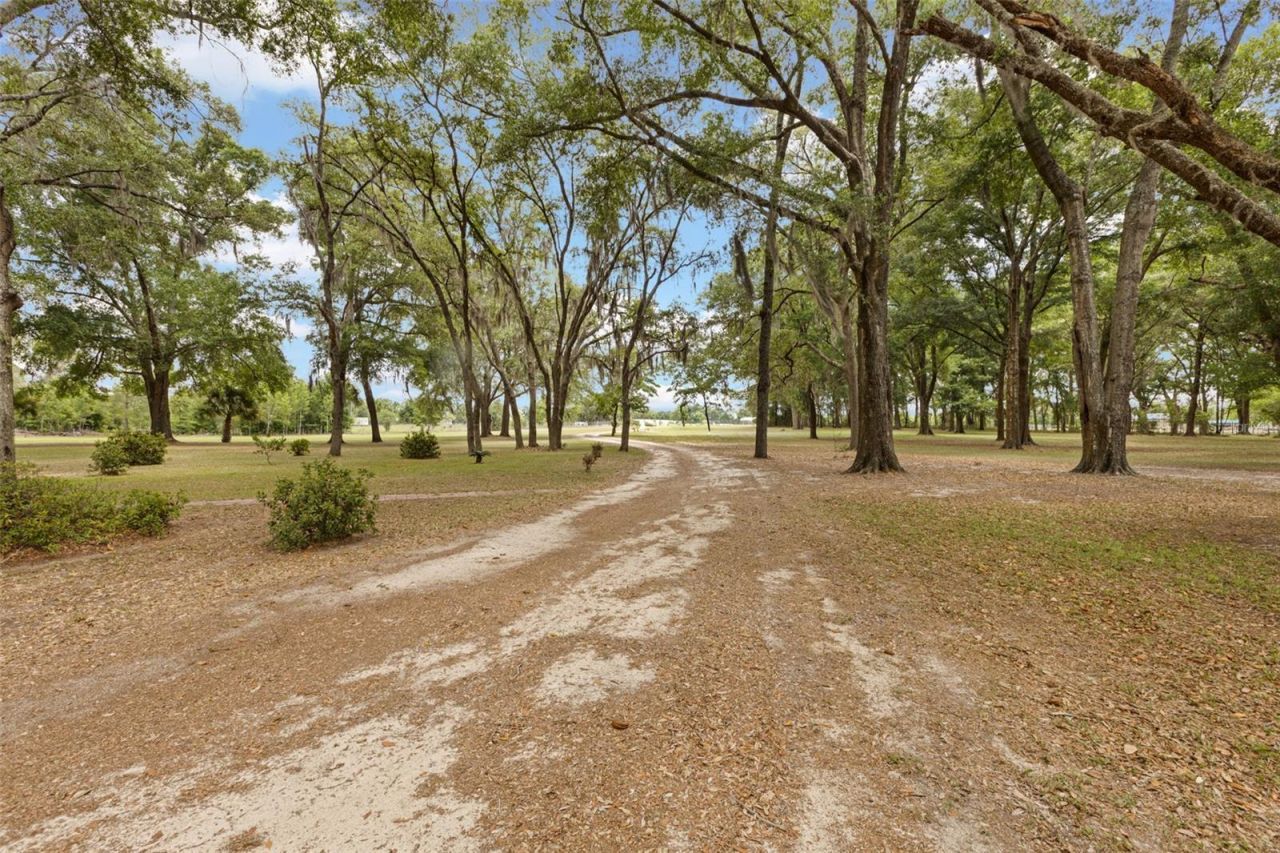 6689 SE 55th Street, Trenton, FL 32693 Photo