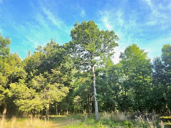 Lot 377 Timber Ridge , Larue, TX 75770