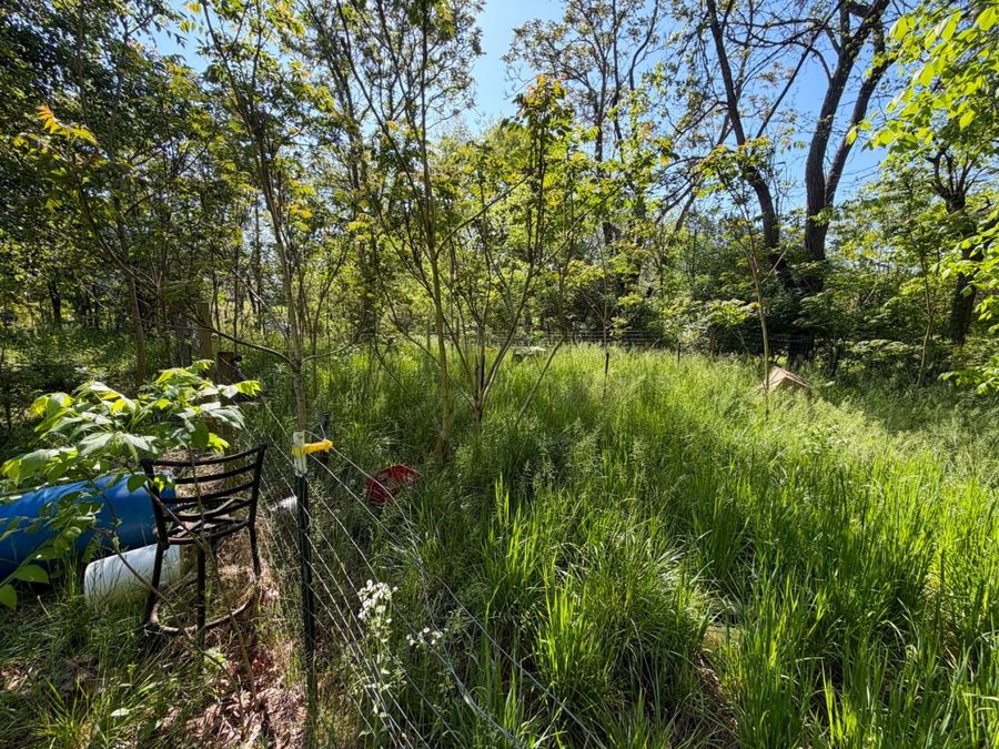 Property Image 55