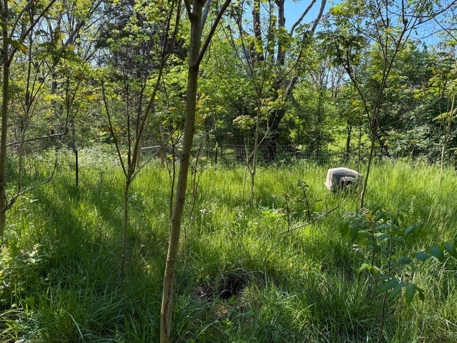 Property Image 60