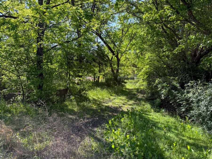 Property Image 83