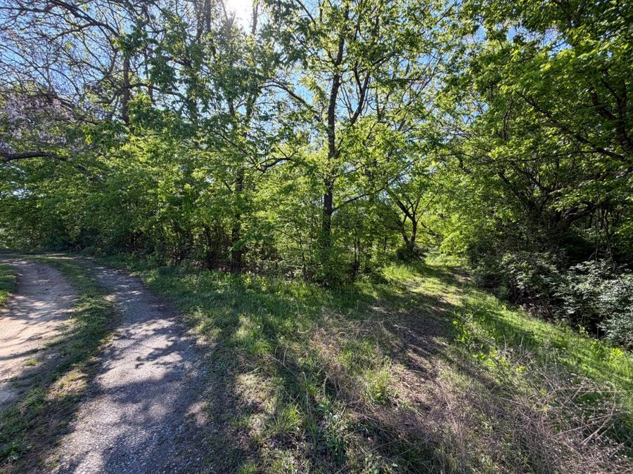 Property Image 84