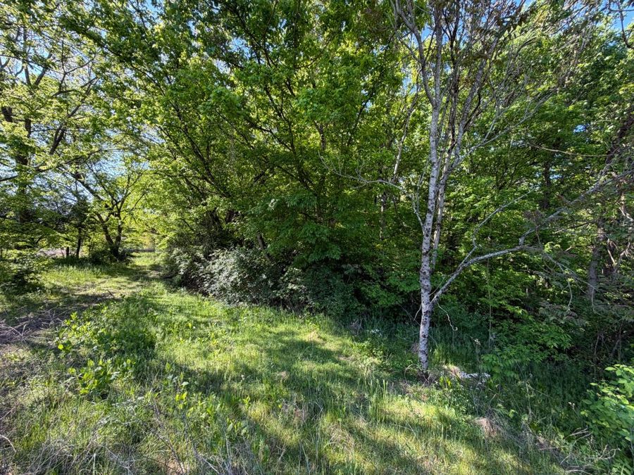 Property Image 86