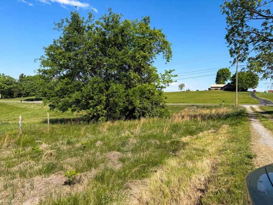 Property Image 89