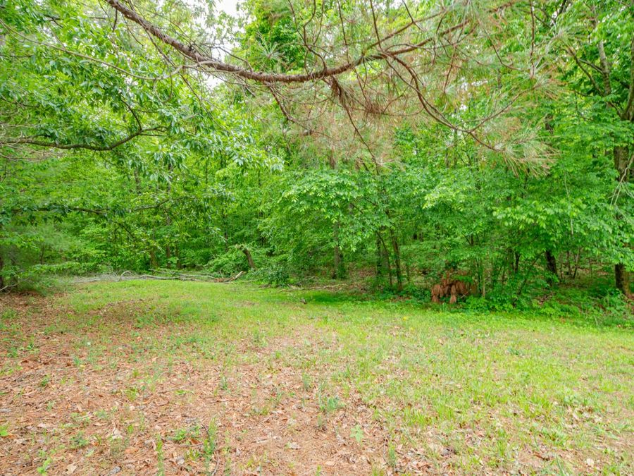 Property Image 68