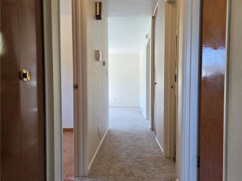 238 Meadowbrook Drive, Wintersville, OH 43953 Photo 19