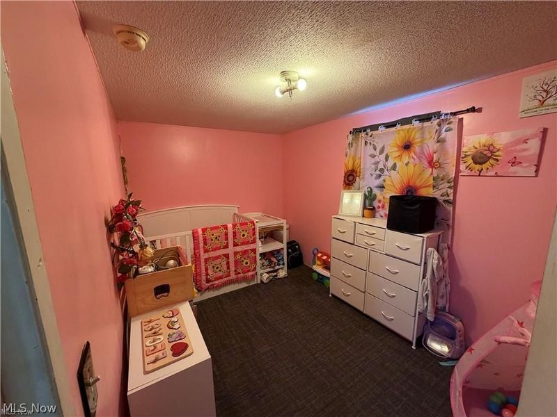 2316 Deerfield Drive, Deerfield, OH 44411 Photo 6