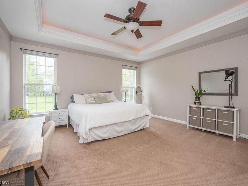6787 S Palmyra Road, Canfield, OH 44406 Photo 13