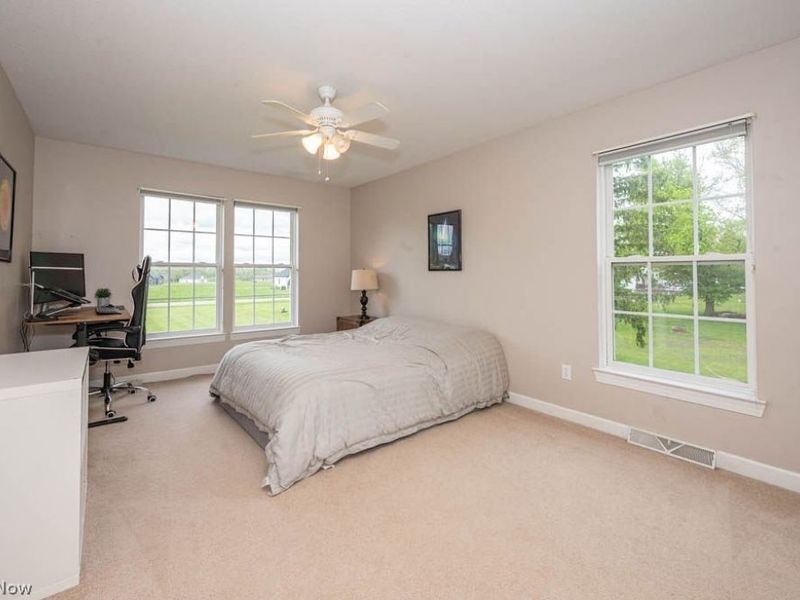 6787 S Palmyra Road, Canfield, OH 44406 Photo 16