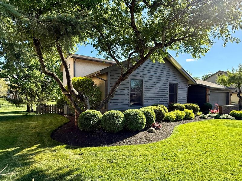 457 Peale Court, Gahanna, OH 43230 Photo 4