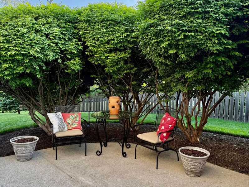 457 Peale Court, Gahanna, OH 43230 Photo 44