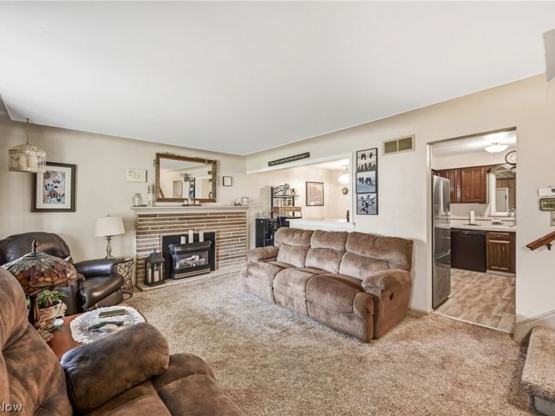 3441 Bentwillow Lane, Youngstown, OH 44511 Photo 6