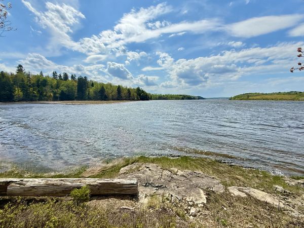 Lot 5-3 East Palmer Road, Machiasport, ME 04655