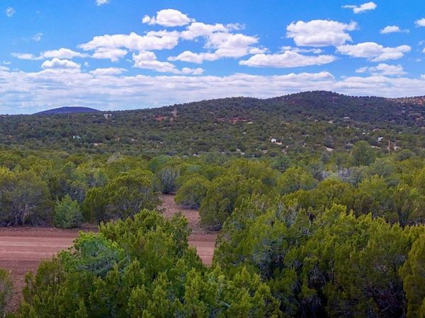 52 County Road 3198, Unit -, Vernon, AZ 85940