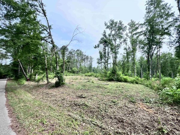 0 CHALK RD LOT 2 RD, Morris Chapel, TN 38361