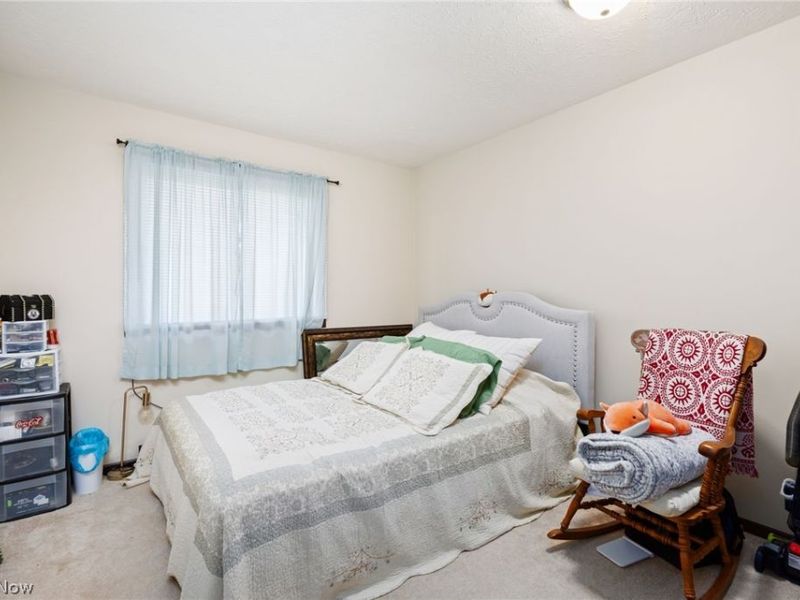 14172 & 14174 Hametown Road, Doylestown, OH 44230 Photo 29