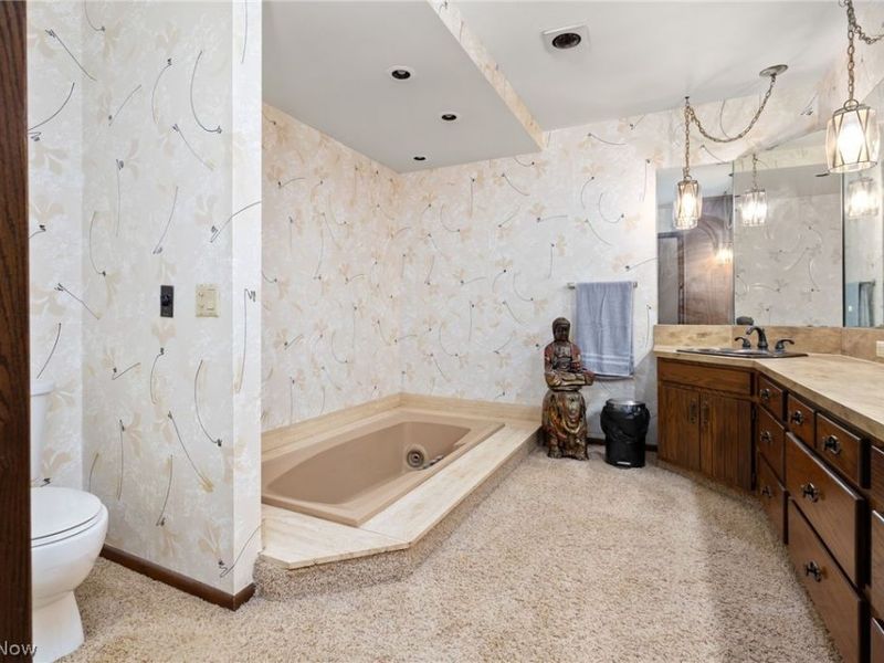 14172 & 14174 Hametown Road, Doylestown, OH 44230 Photo 46
