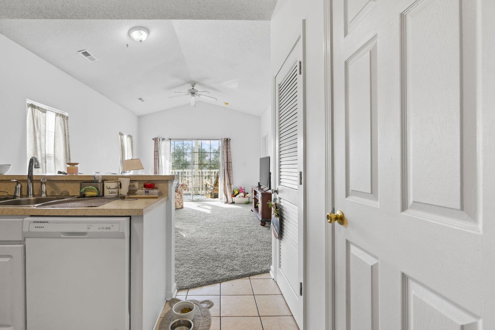 248 Sun Colony Blvd.  Photo 7
