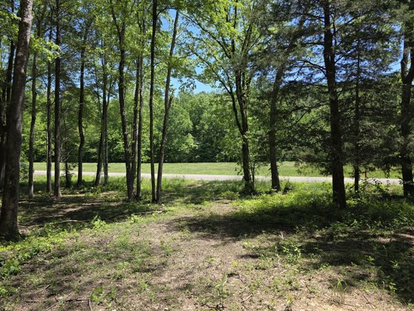 0 Birdsong Rd , Holladay, TN 38341