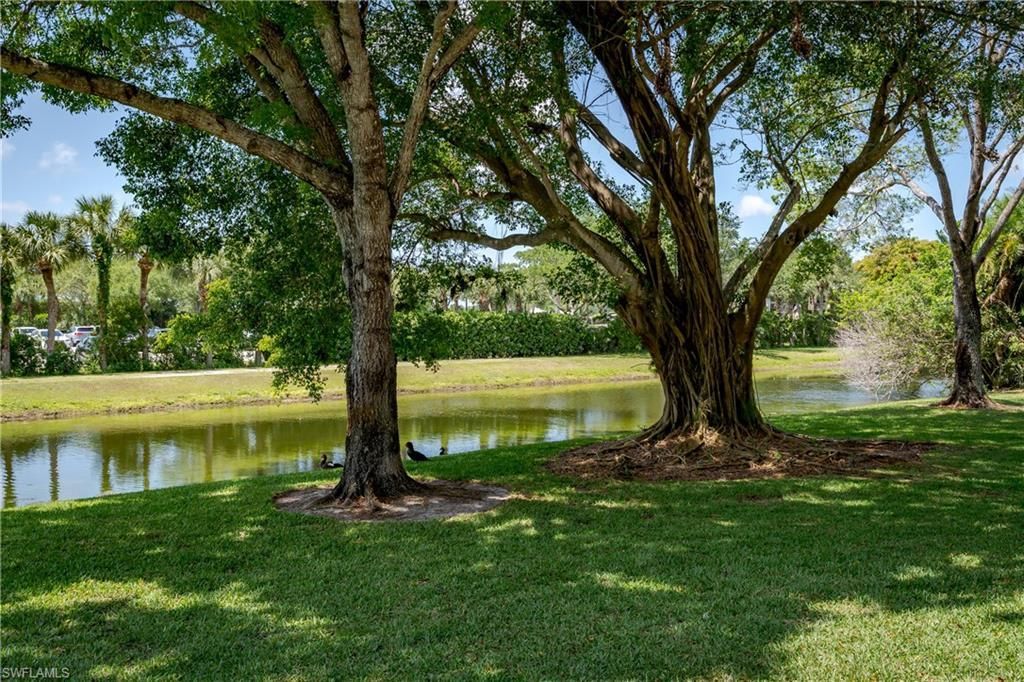 5419 Rattlensake Hammock Rd , Unit 307F, Naples, FL 34113 Photo