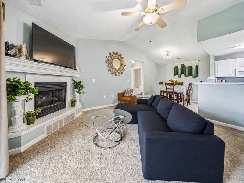 3371 Lenox Village Drive, Unit 255, Fairlawn, OH 44333 Photo 11