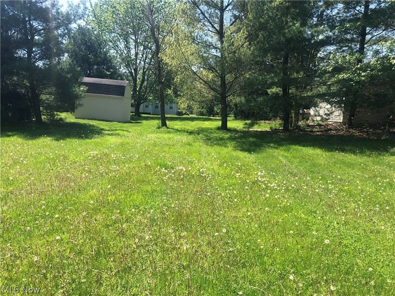 6140 Champagne, Medina, OH 44256 Photo 19