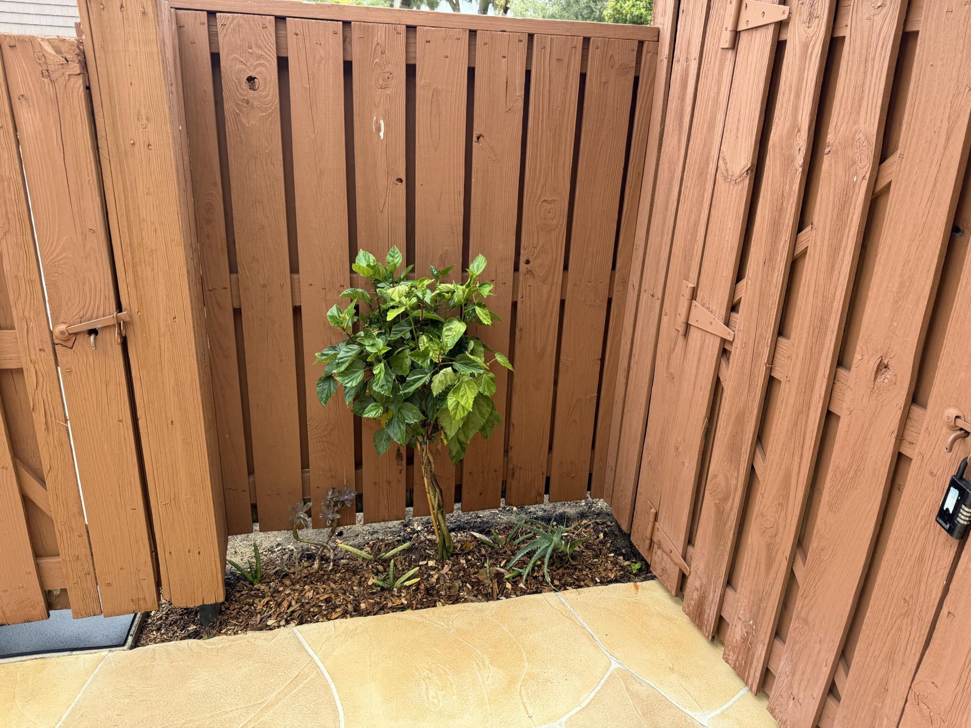 1603 16th Court, Jupiter, FL 33477 Photo