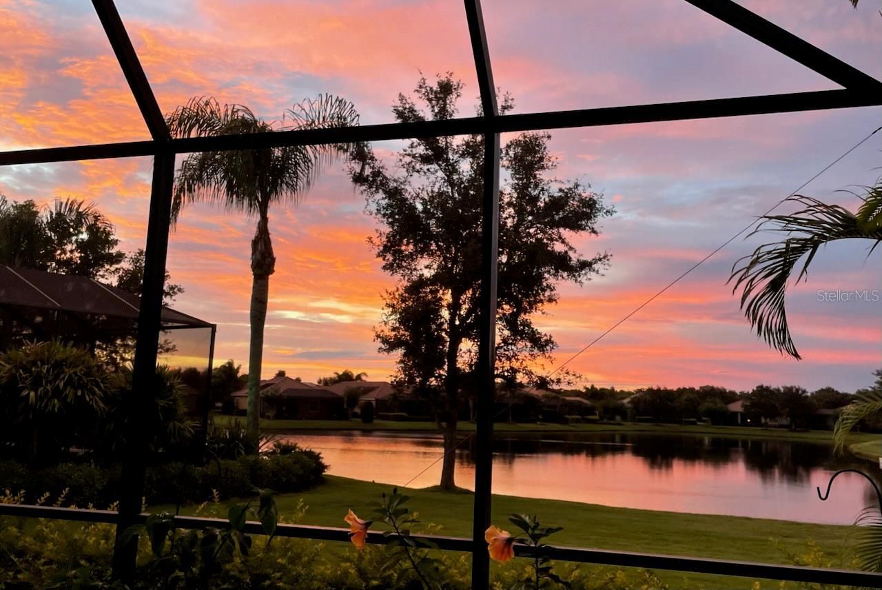 14435 Whitemoss Terrace , Lakewood Ranch, FL 34202 Photo