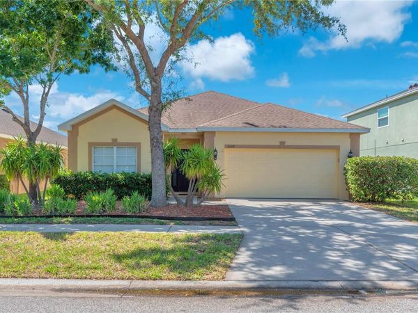 10109 CELTIC ASH DRIVE , RUSKIN, FL 33573