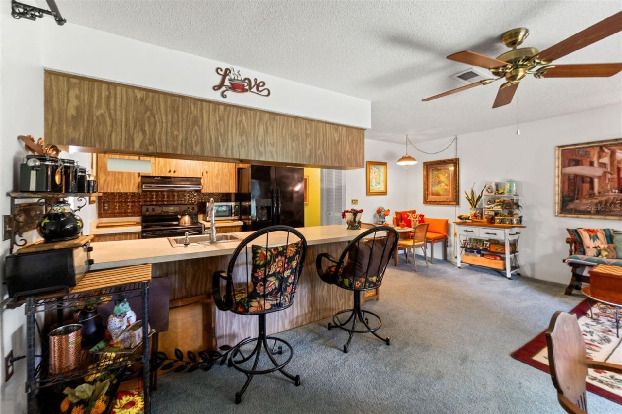 10541 Green Meadow Lane , Port Richey, FL 34668 Photo