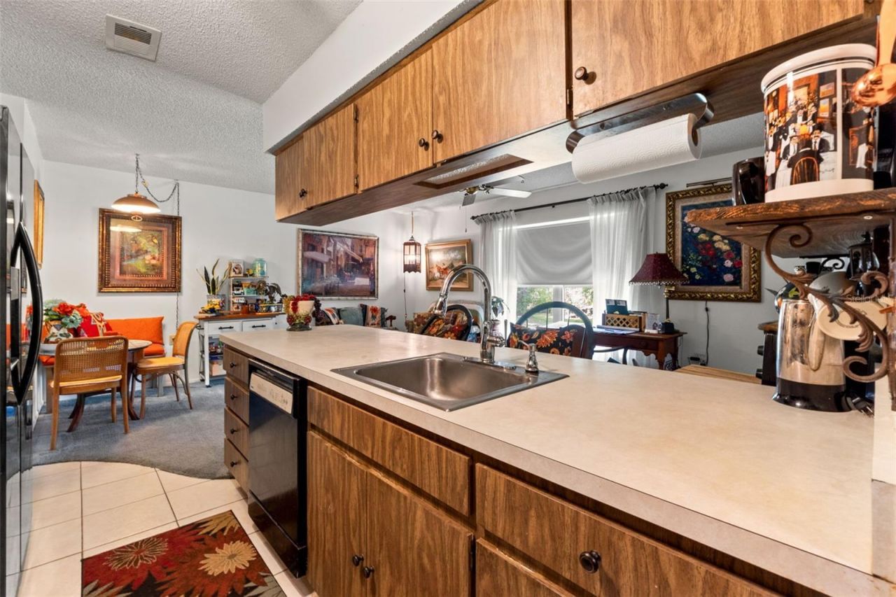 10541 Green Meadow Lane , Port Richey, FL 34668 Photo