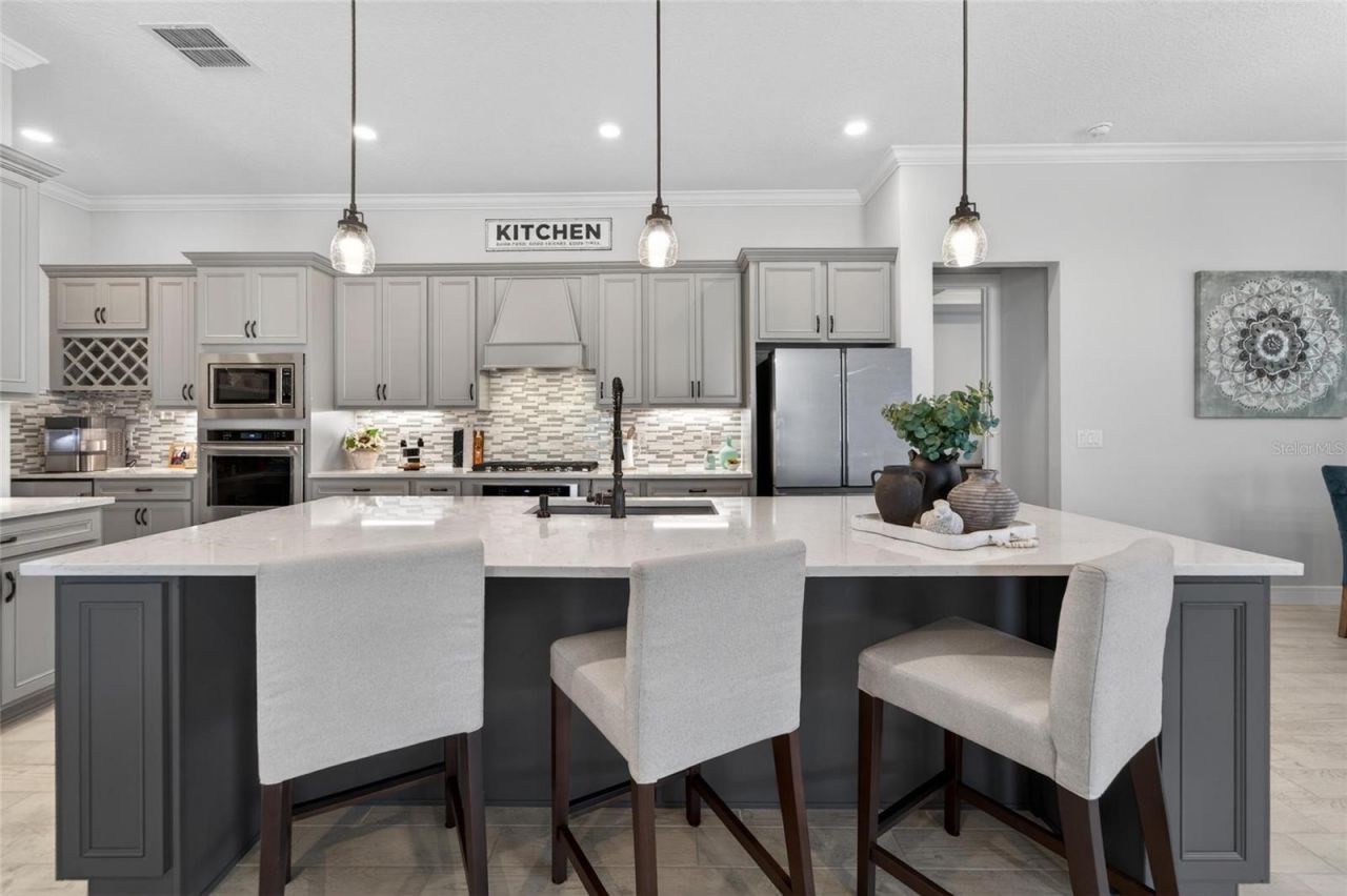 18752 Horizon View Point , Land O Lakes, FL 34638 Photo