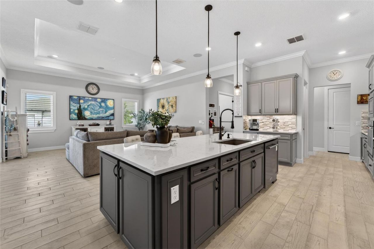 18752 Horizon View Point , Land O Lakes, FL 34638 Photo