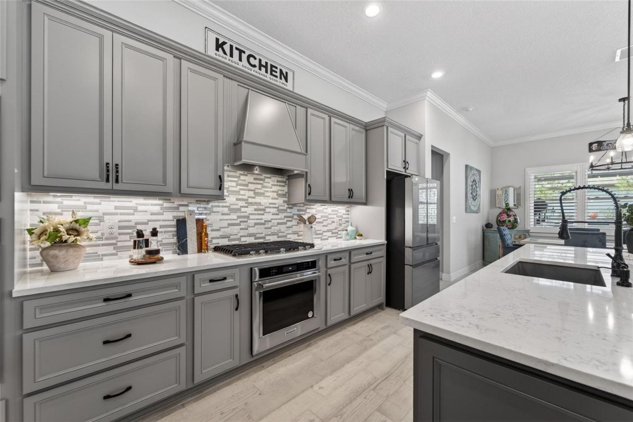 18752 Horizon View Point , Land O Lakes, FL 34638 Photo