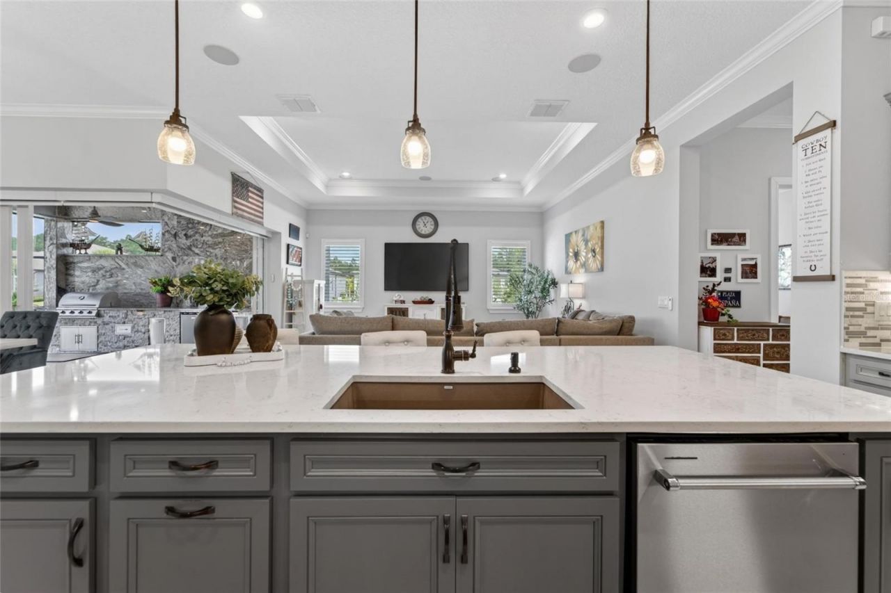 18752 Horizon View Point , Land O Lakes, FL 34638 Photo