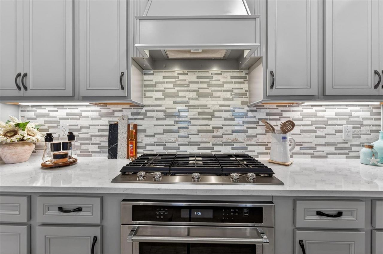 18752 Horizon View Point , Land O Lakes, FL 34638 Photo