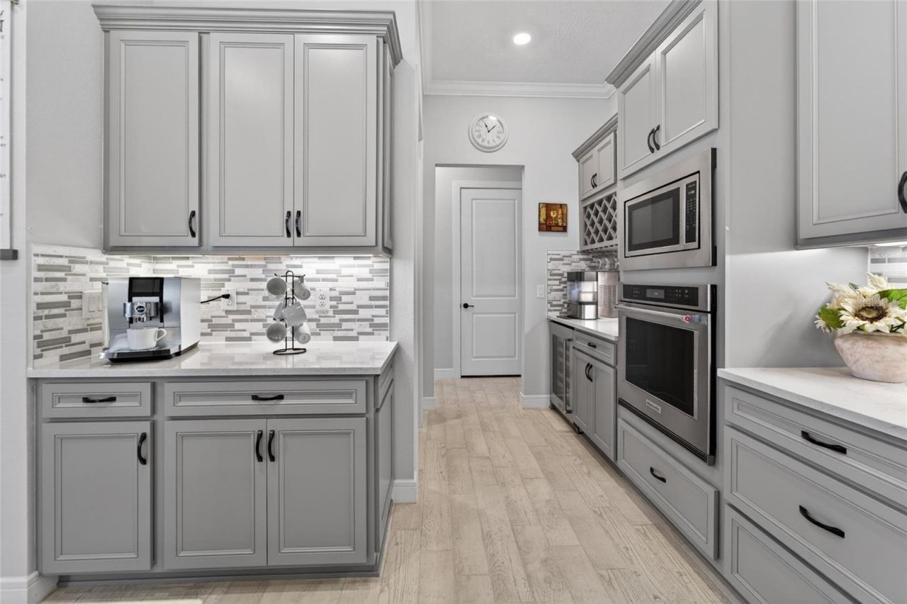 18752 Horizon View Point , Land O Lakes, FL 34638 Photo