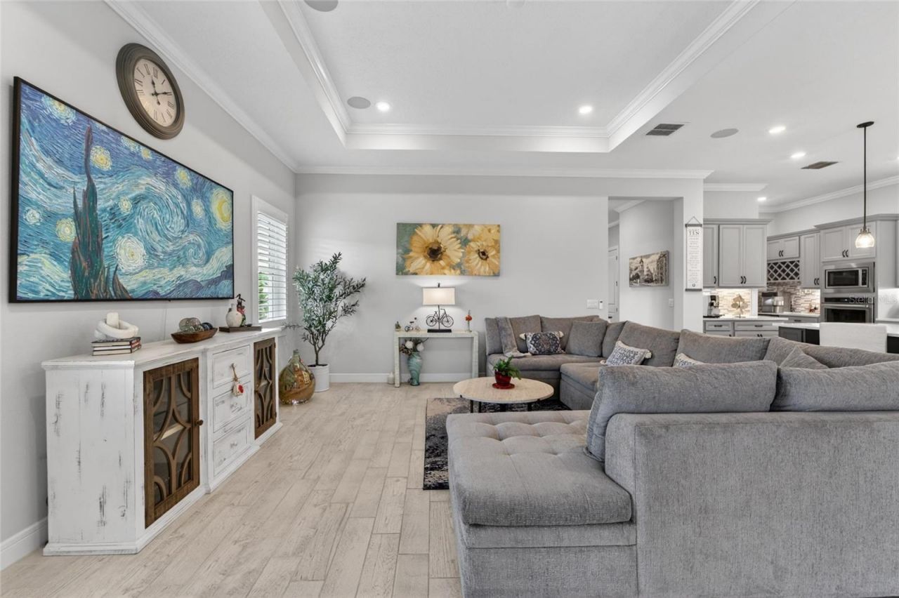 18752 Horizon View Point , Land O Lakes, FL 34638 Photo