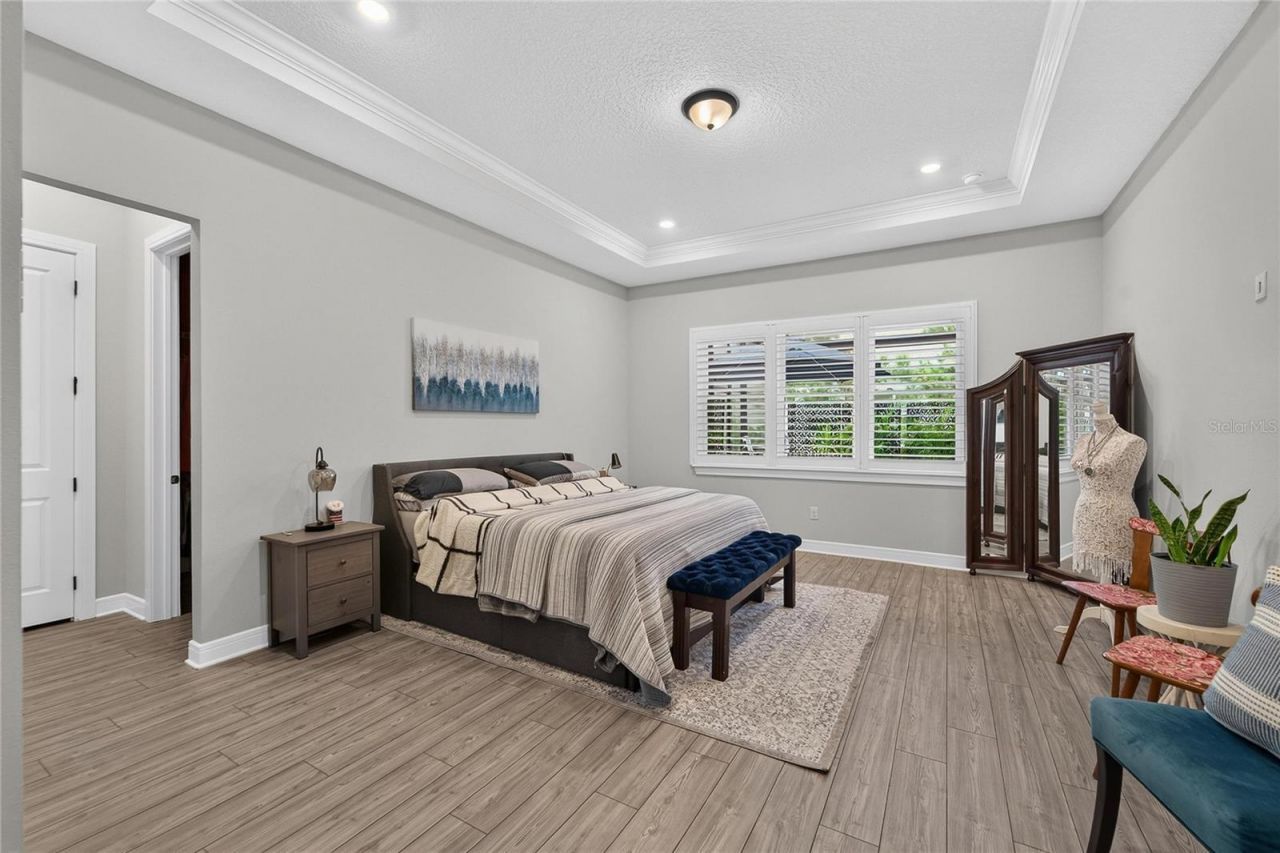 18752 Horizon View Point, Land O Lakes, FL 34638 Photo