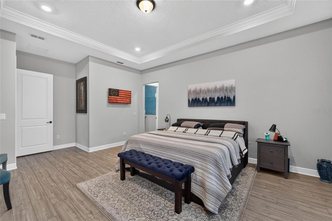 18752 Horizon View Point, Land O Lakes, FL 34638 Photo
