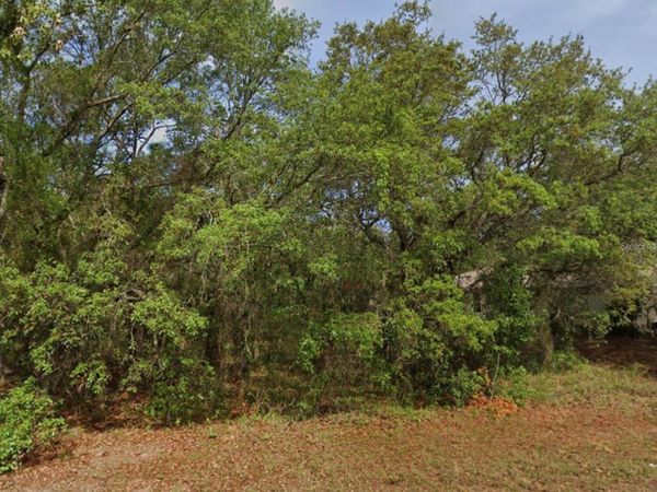 4 HONEYSUCKLE COURT N, HOMOSASSA, FL 34446