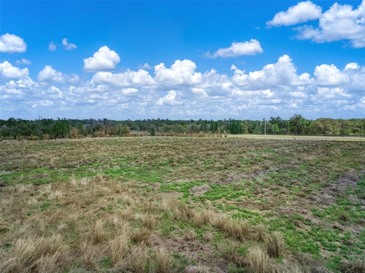 3515 Us Highway 17 N, Bowling Green, FL 33834 Photo