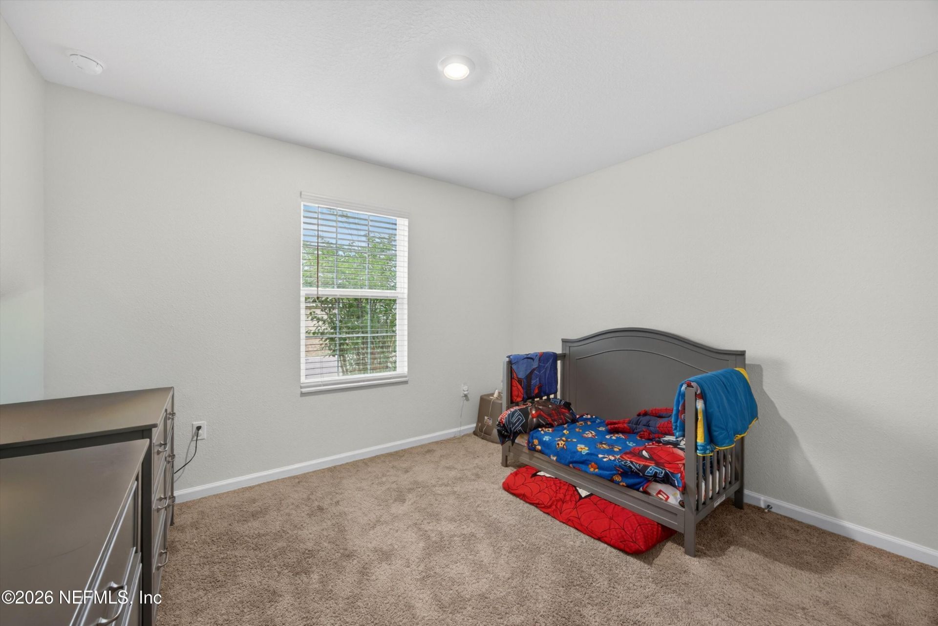 5923 Crosby Lake Way E, Macclenny, FL 32063 Photo