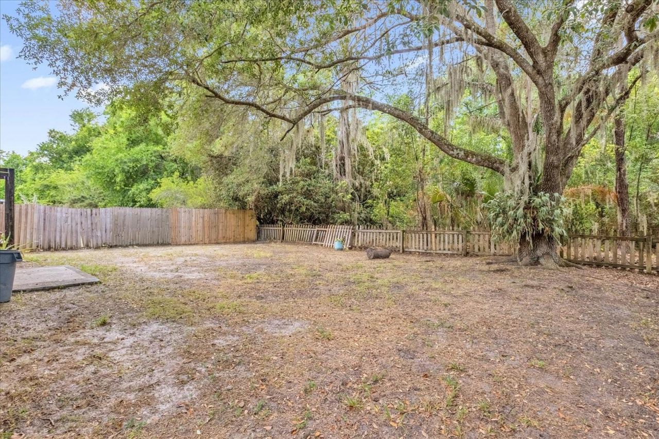 4342 Boca Woods Drive, Orlando, FL 32826 Photo