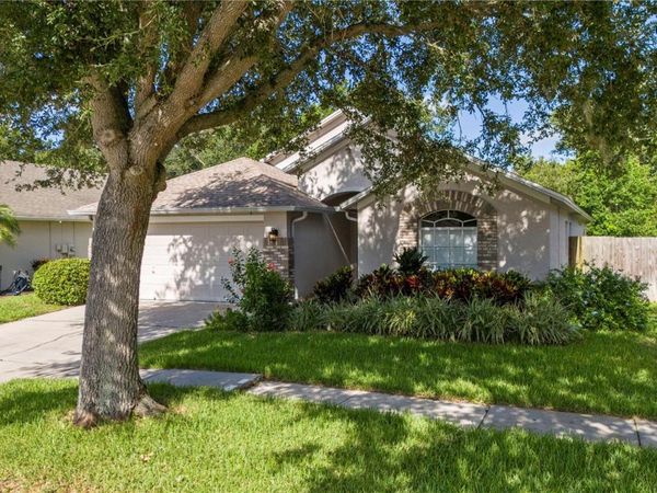 7105 BUCKS FORD DRIVE , RIVERVIEW, FL 33578